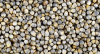 Pearl Millet