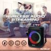 Risebass Portable Wireless Karaoke Machine with 2 Wireless Microphones 