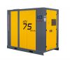 Direct Driven Screw Compressor 22-315 kW