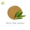 Best Olive leaf extrac...