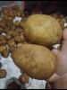 Potatos