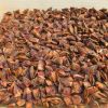 STAR ANISE (Superior T...