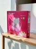 Haohan HB-908B 3 in 1 Waterproof Lady Epilator White Pink Gradients