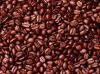 Cameroon coffee