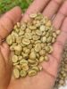 Green Coffee Beans Grade A