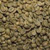 Green coffee  beans