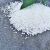 Environmentally sound SBS Granules SBS Plastic Raw Material Styrene-Butadiene-Styrene Rubber Best Price Manufacturer