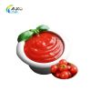 Tomato Paste Ketchup T...