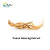 Natural Panax Ginseng ...