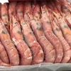 Frozen shrimp