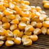 Yellow Corn/ White Corn