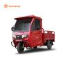 Cargo Box Electric Tri...