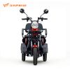 Electric Passenger Tricycle 800W Motor Leisure Tricycle for Sale
