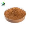 Factory Wholesale Extract Aloe Vera Extract Powder Aloe Emodin Aloe Barbadensis Miller Aloe Vera Extract