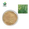 Natural Pure  Cassia Nomame Extract Powder Cassia nomame (sibe.)Kitagawa Extract 20:1