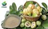 Pure Garcinia Cambogia Fruit Extract 50% Cambogia Garcinia Powder for Weight Loss