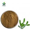 Wholesale Bulk Price 10:1 Incense Agarwood Extract Powder Agarwood Extract Powder