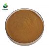 Wholesale Senna Leaf Extract Lose Weight Senna Leaves Extract Powder 5%-60% Sennosides