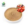 High Quality 100% Guarana Seed Extract Ratio 4: 1 10: 1