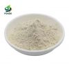 100% Water Soluble Natural Garcinia Cambogia Fruit Extract Hydroxycitric Acid 60%