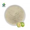 100% Water Soluble Natural Garcinia Cambogia Fruit Extract Hydroxycitric Acid 60%