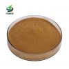 Wholesale Senna Leaf Extract Lose Weight Senna Leaves Extract Powder 5%-60% Sennosides