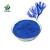 Food Grade Spirulina Extract phycocyanin Powder Spirulina Blue Powder Phycocyanin Price