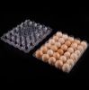 Plastic egg tray