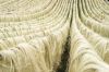 sisal fiber