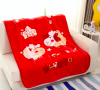 Wholesale 2ply korean blankets mink raschels double player raschel baby blanket for baby