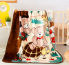 Wholesale 2ply korean blankets mink raschels double player raschel baby blanket for baby
