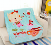Wholesale 2ply korean blankets mink raschels double player raschel baby blanket for baby