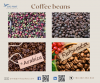 Arabica coffee beans roasted coffee bean raw coffee beans negotiable price on bulk orders