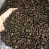 Roasted Arabica Coffee Beans & Robusta Coffee Beans at Light Medium and Dark Level Whole Bean Quality at a Reasonable Price