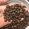 Roasted Arabica Coffee Beans & Robusta Coffee Beans at Light Medium and Dark Level Whole Bean Quality at a Reasonable Price