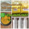 Free sample for CAS10250-27-8 Bmk/Pmk powder cas28578/5449 safe delivery