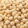 Soybeans