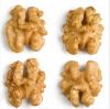 Walnut inshell,walnut kernels