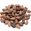 Best Quality Supplier Cocoa Bean for Sale in Cheap Price