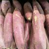 100% Natural Fresh Sweet Potatoes Exported at Cheap Prices