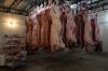 Halal Frozen Whole Lamb/ Sheep/ Mutton Meat For Sale