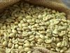 High Quality Robusta Coffee Beans 20kg Carton