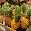 Golden Fresh Pineapple...