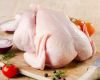 High Quality Chicken Frozen Wholesale Cheap Price