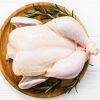 High Quality Chicken Frozen Wholesale Cheap Price