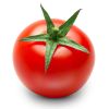 Best Quality Hot Sale Price Fresh Vegetables Tomatoes