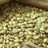 High Quality Robusta Coffee Beans 20kg Carton