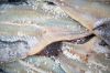 Good Quality Dry Stock...