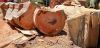 Fuelwood type keruing