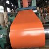 Color coated steel coil